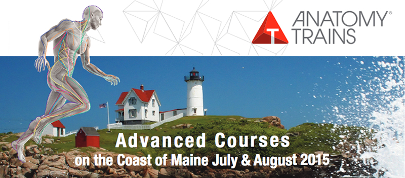 Advanced Courses on the Coast of Maine July & August 2015