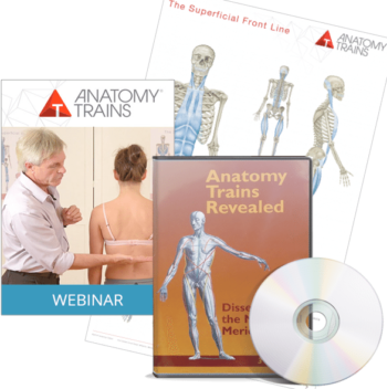 Anatomy Trains for Movement Therapy - Book &amp; DVD Package