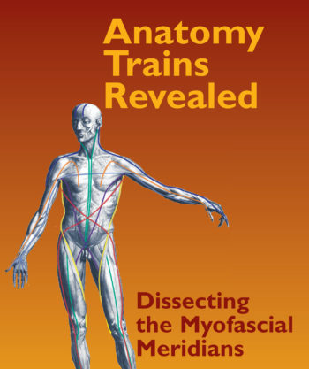 Anatomy Trains Revealed: Dissecting the Myofascial Meridians