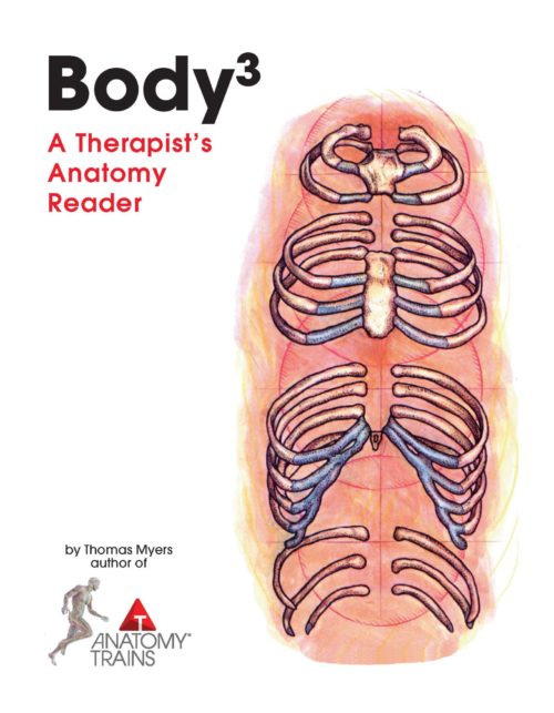 Body3 A Therapist's Anatomy Reader