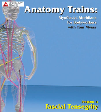 Anatomy Trains: Fascial Tensegrity