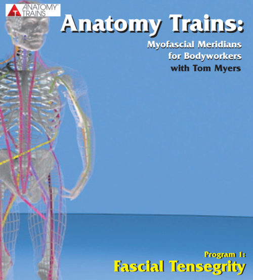 Anatomy Trains: Fascial Tensegrity