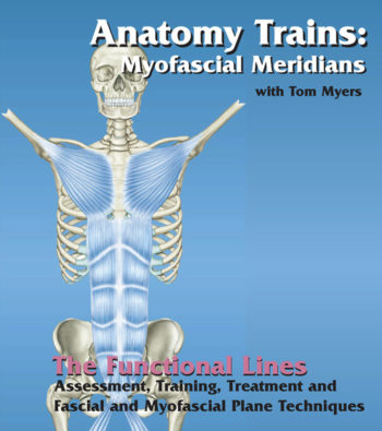 Technique Series: Functional Lines