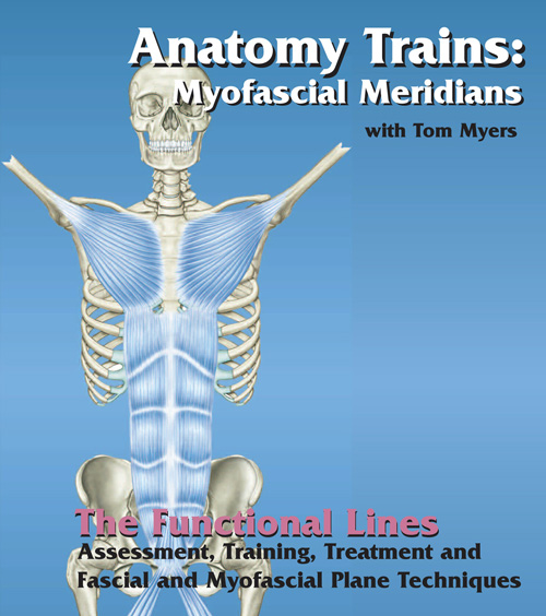 Physioville - MYOFASCIAL FUNCTIONAL LINES