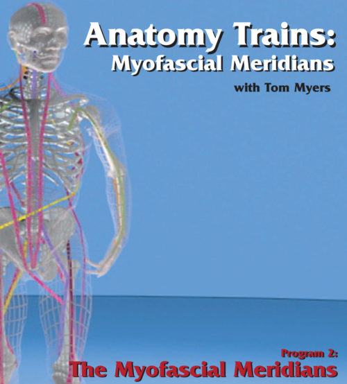 Anatomy Trains: Myofascial Meridians