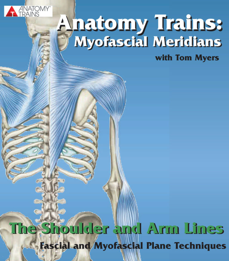 The Shoulder & Arm Lines Fascial and Myofascial Plane