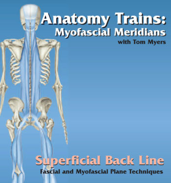 Technique Series: Superficial Back Line