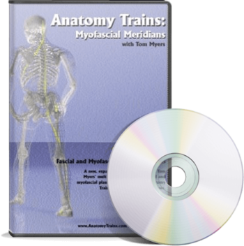 Technique Series: Spiral Line