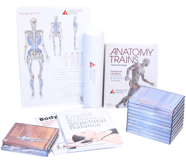 90 Best Seller Anatomy Trains Book Used 