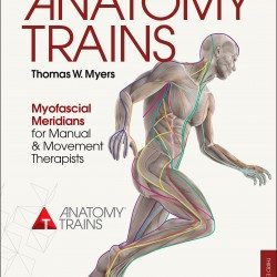 Anatomy Trains 3rd Edition Cover