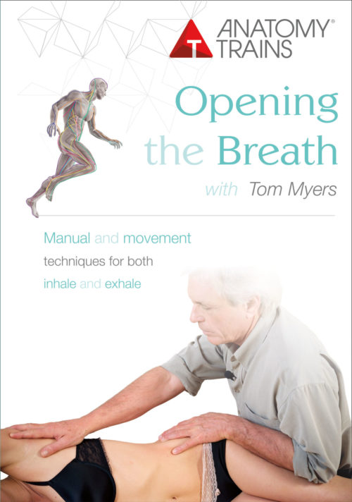 Opening the Breath with Tom Myers