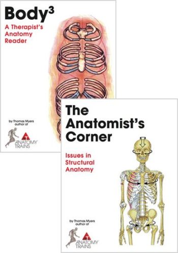 Body3 and The Anatomist's Corner