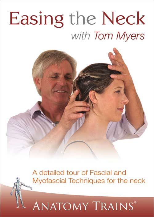 Easing the Neck with Tom Myers