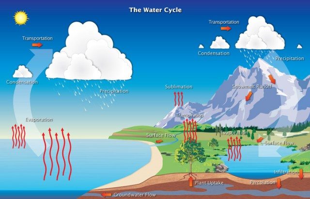 water_cycle