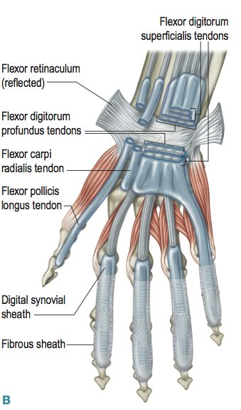 FIG7.17B