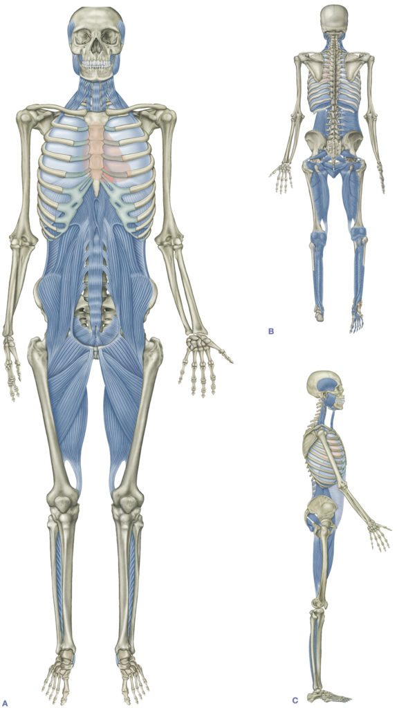 fig-9-1-deep-front-line