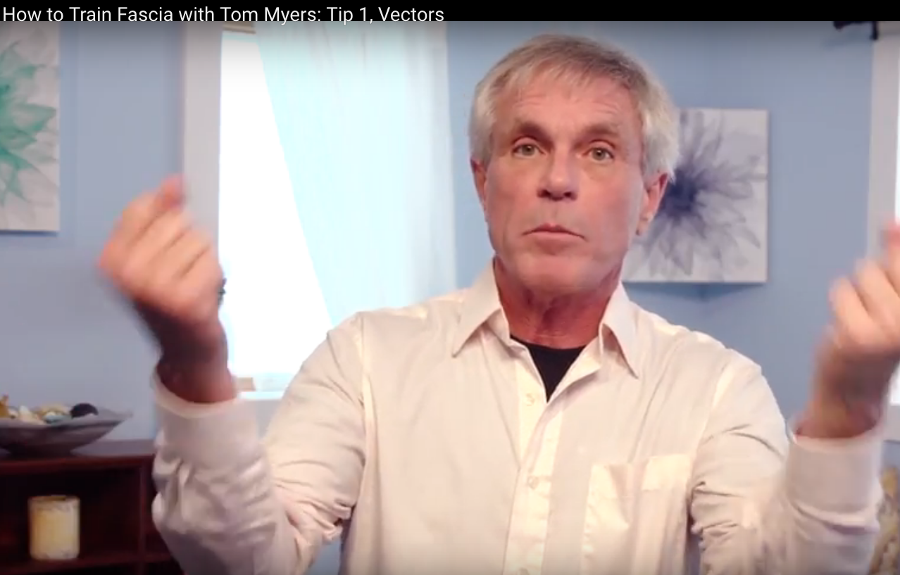 How to Train Fascia with Tom Myers Tip 1 Vectors