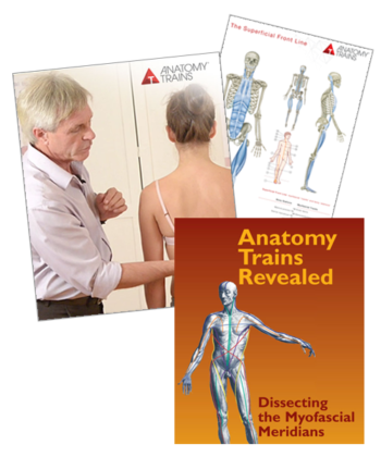 Anatomy Trains Dissection Bundle