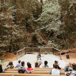 The Cathedral Amidst Redwoods