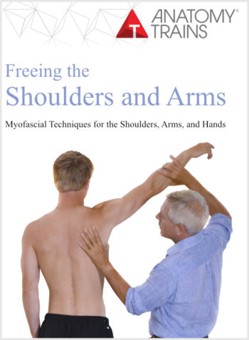 Freeing the Shoulders and Arms