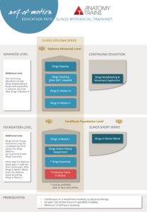 Anatomy visual data 7