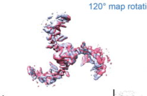 Three blades of receptors