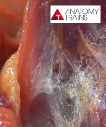 Thoracic Outlet Syndrome with Anatomy Trains logo