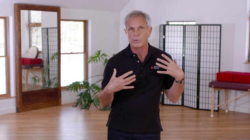 Watch intro video delivered by Tom Myers on Anatomy Trains in Structure and Function course
