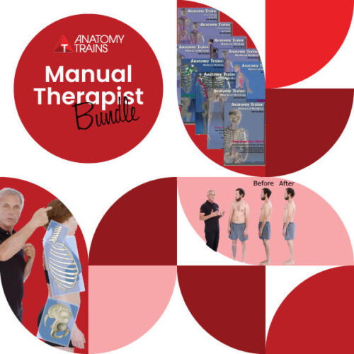 Manual Therapists Bundle cover
