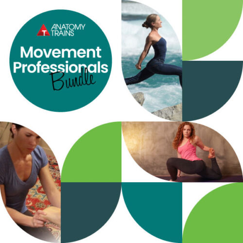 Movement Professionals Bundle cover