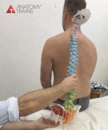 Shoulder & Thoracic Spine Assessment, Strategy and Treatment with Michael Watson