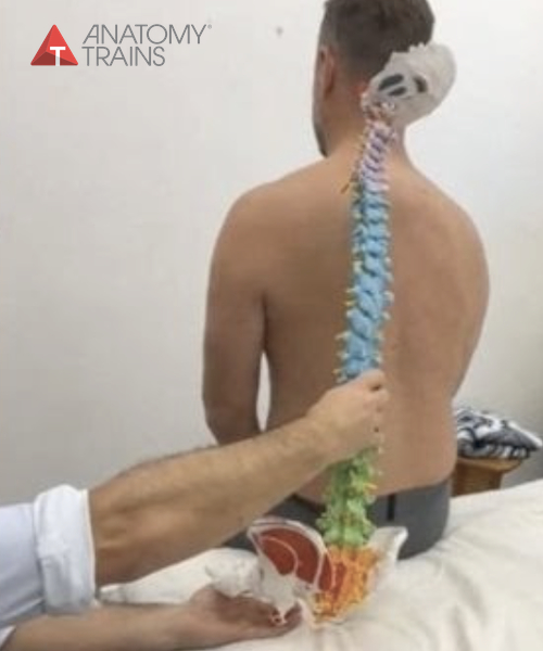 Shoulder & Thoracic Spine Assessment, Strategy and Treatment with Michael Watson